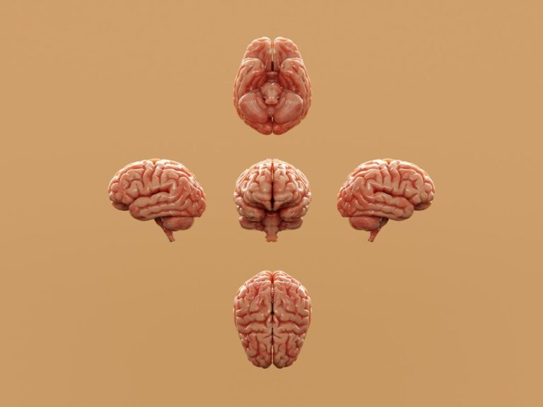 Explorez comment notre cerveau réagit face au changement, à la perte de repères et à la réinvention personnelle.