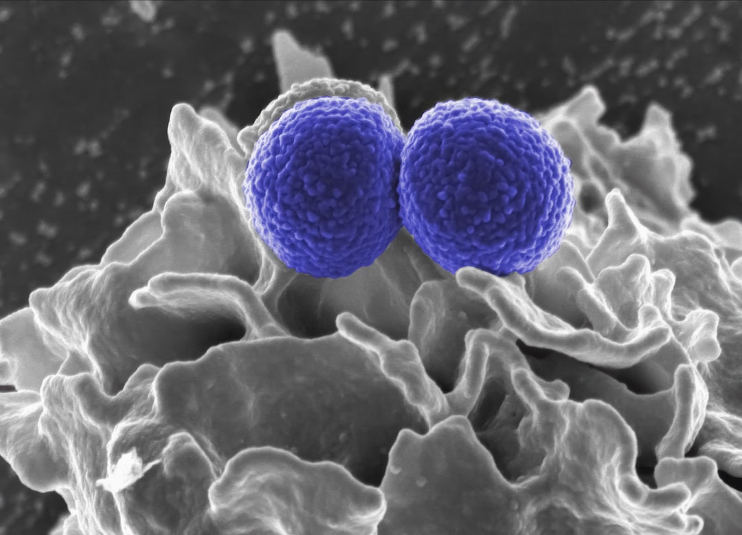 Ocytocine et Instinct Maternel : La Science Derrière l’Amour Inconditionnel